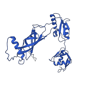 12193_7bj2_k_v1-2
Salmonella flagellar basal body assembly intermediate - P ring alone structure