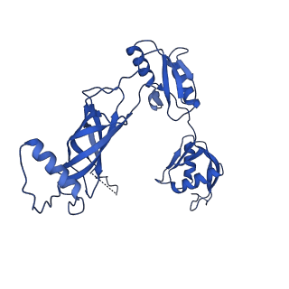 12193_7bj2_l_v1-2
Salmonella flagellar basal body assembly intermediate - P ring alone structure