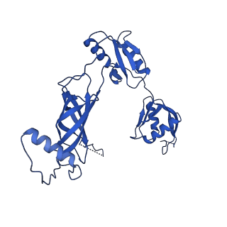 12193_7bj2_m_v1-2
Salmonella flagellar basal body assembly intermediate - P ring alone structure