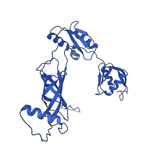 12193_7bj2_n_v1-2
Salmonella flagellar basal body assembly intermediate - P ring alone structure
