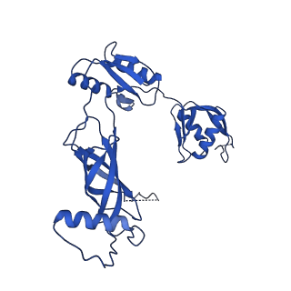 12193_7bj2_o_v1-2
Salmonella flagellar basal body assembly intermediate - P ring alone structure