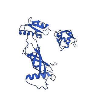 12193_7bj2_p_v1-2
Salmonella flagellar basal body assembly intermediate - P ring alone structure