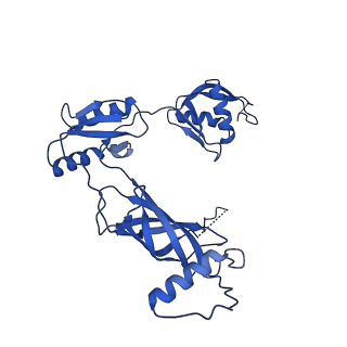 12193_7bj2_r_v1-2
Salmonella flagellar basal body assembly intermediate - P ring alone structure