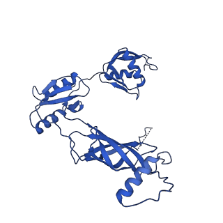 12193_7bj2_s_v1-2
Salmonella flagellar basal body assembly intermediate - P ring alone structure