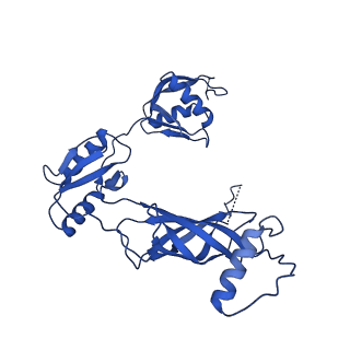12193_7bj2_t_v1-2
Salmonella flagellar basal body assembly intermediate - P ring alone structure