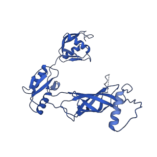 12193_7bj2_u_v1-2
Salmonella flagellar basal body assembly intermediate - P ring alone structure