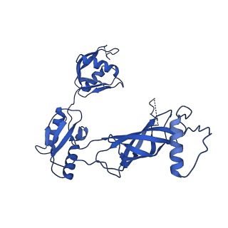 12193_7bj2_v_v1-2
Salmonella flagellar basal body assembly intermediate - P ring alone structure