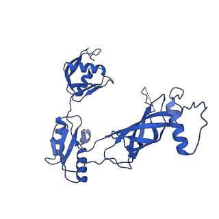 12193_7bj2_w_v1-2
Salmonella flagellar basal body assembly intermediate - P ring alone structure