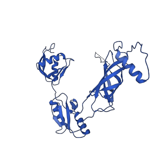 12193_7bj2_y_v1-2
Salmonella flagellar basal body assembly intermediate - P ring alone structure