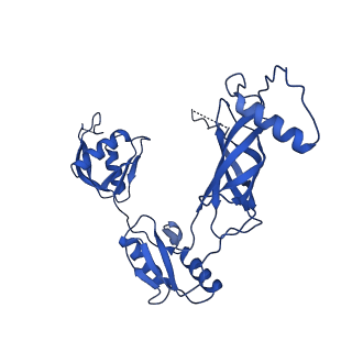 12193_7bj2_z_v1-2
Salmonella flagellar basal body assembly intermediate - P ring alone structure