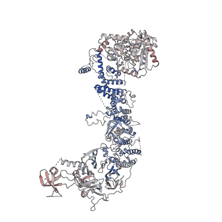 16087_8bja_A_v1-4
Structure of the human UBR5 Dimer.