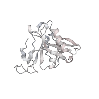 16090_8bjq_A_v1-1
Structure of a yeast 80S ribosome-bound N-Acetyltransferase B complex