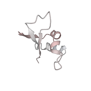 16090_8bjq_C_v1-1
Structure of a yeast 80S ribosome-bound N-Acetyltransferase B complex