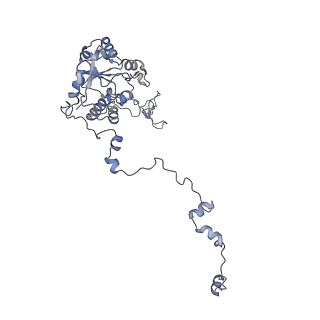 16090_8bjq_LC_v1-1
Structure of a yeast 80S ribosome-bound N-Acetyltransferase B complex