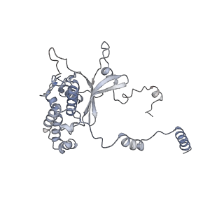 16090_8bjq_LD_v1-1
Structure of a yeast 80S ribosome-bound N-Acetyltransferase B complex