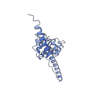 16090_8bjq_LF_v1-1
Structure of a yeast 80S ribosome-bound N-Acetyltransferase B complex