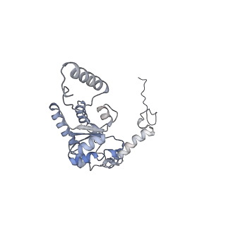 16090_8bjq_LG_v1-1
Structure of a yeast 80S ribosome-bound N-Acetyltransferase B complex