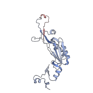 16090_8bjq_LI_v1-1
Structure of a yeast 80S ribosome-bound N-Acetyltransferase B complex