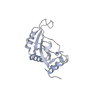16090_8bjq_LJ_v1-1
Structure of a yeast 80S ribosome-bound N-Acetyltransferase B complex