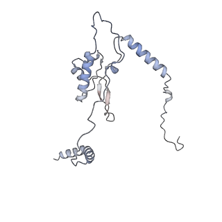16090_8bjq_LL_v1-1
Structure of a yeast 80S ribosome-bound N-Acetyltransferase B complex