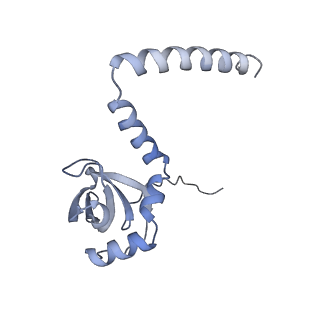 16090_8bjq_LM_v1-1
Structure of a yeast 80S ribosome-bound N-Acetyltransferase B complex