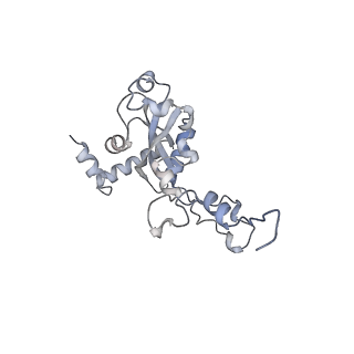 16090_8bjq_LN_v1-1
Structure of a yeast 80S ribosome-bound N-Acetyltransferase B complex
