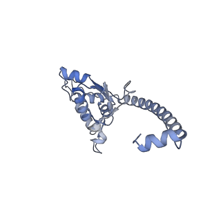 16090_8bjq_LO_v1-1
Structure of a yeast 80S ribosome-bound N-Acetyltransferase B complex