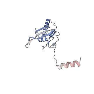 16090_8bjq_LP_v1-1
Structure of a yeast 80S ribosome-bound N-Acetyltransferase B complex