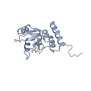 16090_8bjq_LQ_v1-1
Structure of a yeast 80S ribosome-bound N-Acetyltransferase B complex