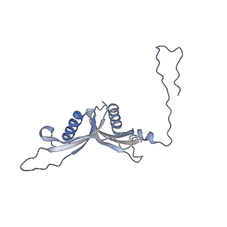 16090_8bjq_LS_v1-1
Structure of a yeast 80S ribosome-bound N-Acetyltransferase B complex