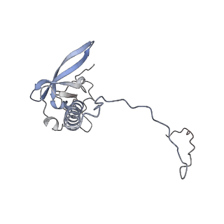 16090_8bjq_LT_v1-1
Structure of a yeast 80S ribosome-bound N-Acetyltransferase B complex