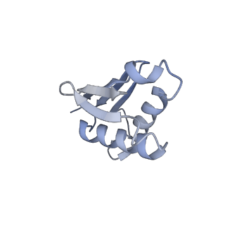16090_8bjq_LU_v1-1
Structure of a yeast 80S ribosome-bound N-Acetyltransferase B complex