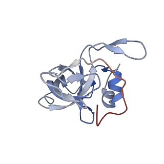 16090_8bjq_LV_v1-1
Structure of a yeast 80S ribosome-bound N-Acetyltransferase B complex