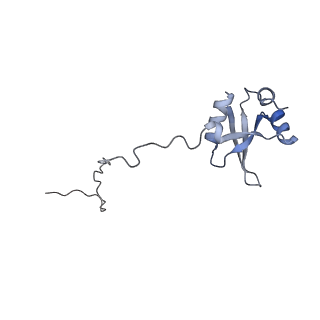 16090_8bjq_LX_v1-1
Structure of a yeast 80S ribosome-bound N-Acetyltransferase B complex