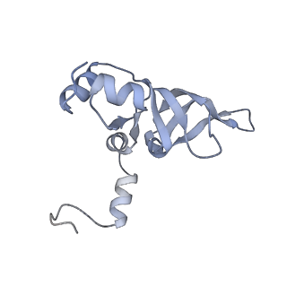 16090_8bjq_LY_v1-1
Structure of a yeast 80S ribosome-bound N-Acetyltransferase B complex
