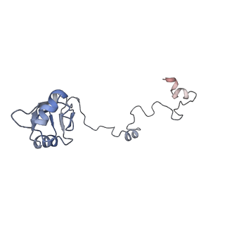 16090_8bjq_La_v1-1
Structure of a yeast 80S ribosome-bound N-Acetyltransferase B complex