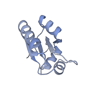 16090_8bjq_Lc_v1-1
Structure of a yeast 80S ribosome-bound N-Acetyltransferase B complex
