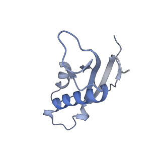 16090_8bjq_Ld_v1-1
Structure of a yeast 80S ribosome-bound N-Acetyltransferase B complex