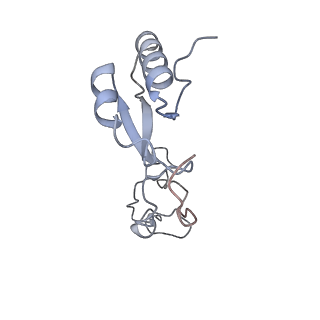 16090_8bjq_Le_v1-1
Structure of a yeast 80S ribosome-bound N-Acetyltransferase B complex