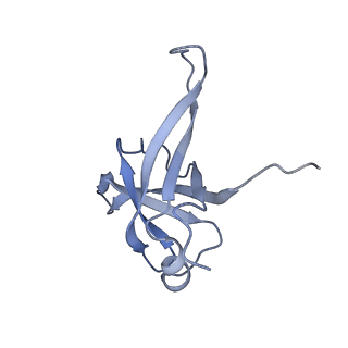 16090_8bjq_Lf_v1-1
Structure of a yeast 80S ribosome-bound N-Acetyltransferase B complex