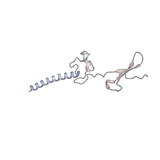 16090_8bjq_Lg_v1-1
Structure of a yeast 80S ribosome-bound N-Acetyltransferase B complex