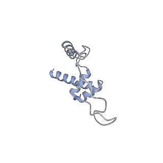 16090_8bjq_Li_v1-1
Structure of a yeast 80S ribosome-bound N-Acetyltransferase B complex