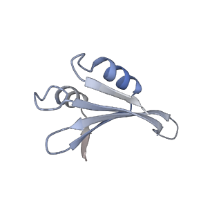 16090_8bjq_Lk_v1-1
Structure of a yeast 80S ribosome-bound N-Acetyltransferase B complex