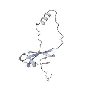 16090_8bjq_Lo_v1-1
Structure of a yeast 80S ribosome-bound N-Acetyltransferase B complex