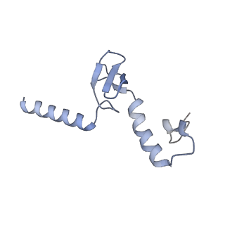 16090_8bjq_Lp_v1-1
Structure of a yeast 80S ribosome-bound N-Acetyltransferase B complex