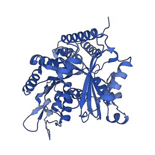 7101_6bjc_A_v1-3
TPX2_mini decorated GMPCPP-microtubule