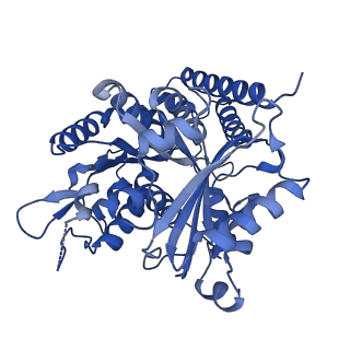 7101_6bjc_C_v1-4
TPX2_mini decorated GMPCPP-microtubule