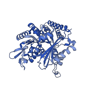 7101_6bjc_D_v1-3
TPX2_mini decorated GMPCPP-microtubule