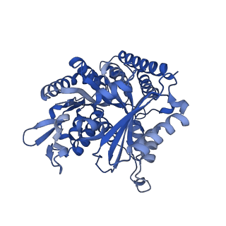 7101_6bjc_D_v1-4
TPX2_mini decorated GMPCPP-microtubule