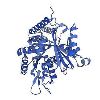 7101_6bjc_E_v1-4
TPX2_mini decorated GMPCPP-microtubule